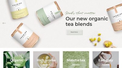 Santé v.1.3.1 – Organic Shop Theme Download