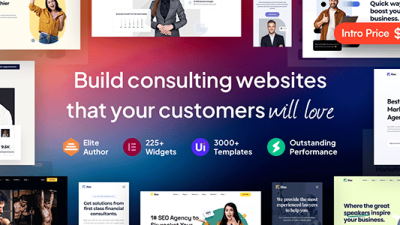 Rise v.1.0.4 Business & Consulting WordPress Theme