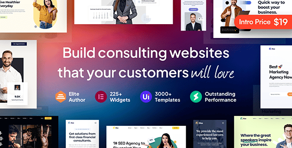 Rise v.1.0.4 Business & Consulting WordPress Theme