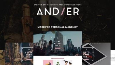 Andier Nulled 响应式单页和多页组合主题免费下载