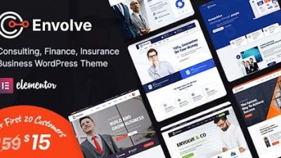 Envolve v.1.8 Consulting Business WordPress Theme