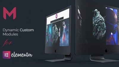 Modulify Nulled Modules Addon for Elementor Page Builder Free Download