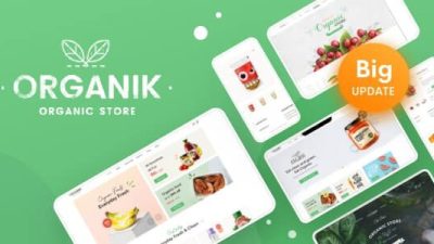 Organik v3.1.5 – Organic Food Store WordPress Theme