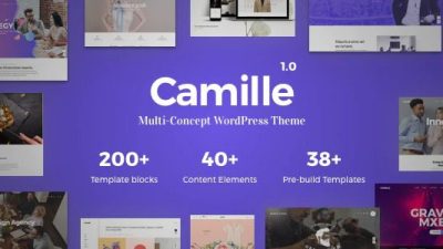 Camille-Multi-Concept-WordPress-Theme-Nulled-Download