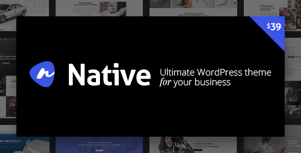 [Fixed*] Native v1.6.6.1 – Stylish Multi-Purpose Creative WP Theme