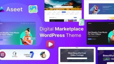 Aseet Nulled Digital Marketplace WordPress Theme Free Download