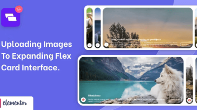 Wiloke Expanding Flex Cards Nulled Elementor Addon Free Download
