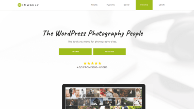 NextGen Gallery Pro by Imagely v3.19.0 – v3.36 [Activated]