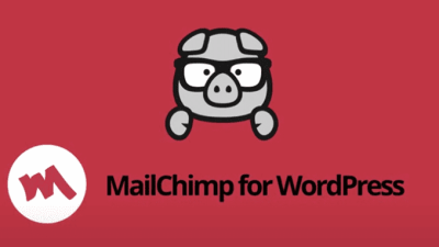 Fixed* MC4WP v4.9 Mailchimp for WordPress Premium