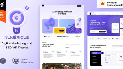 Numérique v.1.1 SEO Digital Marketing WordPress [Activated]