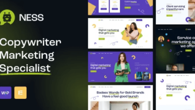 Ness Marketing Agency & SMM WordPress Theme Free Download