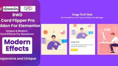 BWD Card Flipper Pro Addon For Elementor Free Download