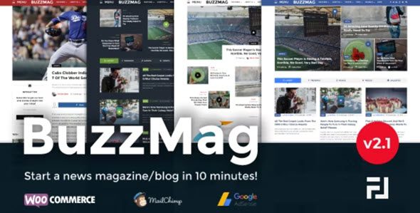 BuzzMag v2.3 Viral News WordPress Magazine/Blog Theme