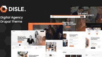 Disle v1.0.3 Digital Marketing Agency Drupal Theme