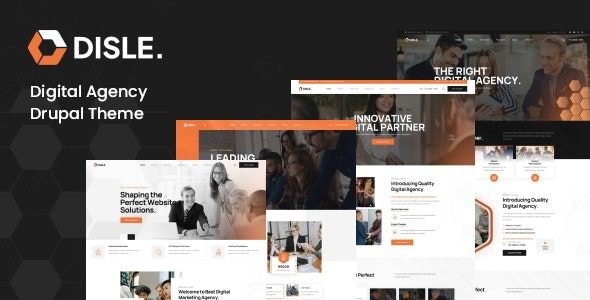 Disle v1.0.3 Digital Marketing Agency Drupal Theme