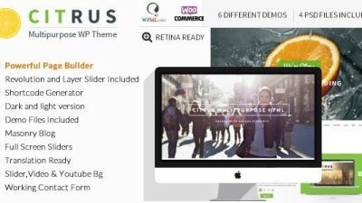 Citrus v3.5 One Page WordPress Theme