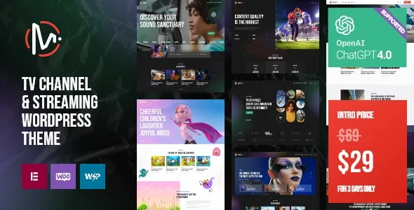 MediaFlex (v1.0.0) TV Channel & Streaming WordPress Theme