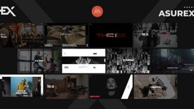 Asurex v1.0 WordPress Theme