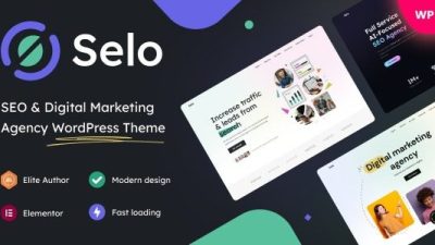 Selo (v1.22) SEO & Digital Marketing Agency WordPress Theme