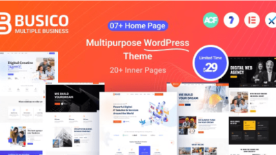 Busico (v.1.0.5) Multipurpose Business Theme