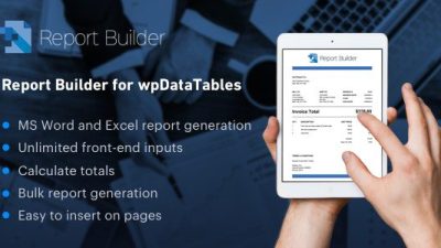 Report Builder add-on for wpDataTables插件下载