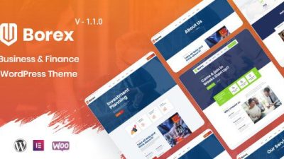 Borex主题下载