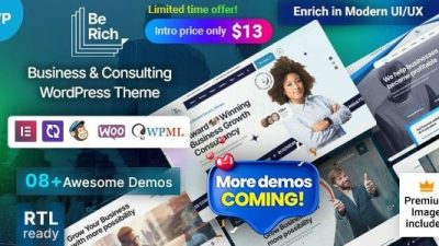 Berich (v1.0.4) Consulting business WordPress Theme
