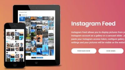 Instagram Feed Pro插件下载