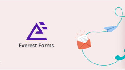 NFixed* Everest Forms Pro v3.0.1 + v1.7.8.1 [All 35 Addons] Plus Plan