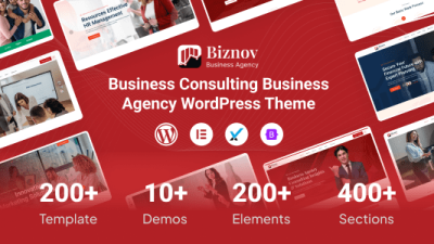 Biznov主题下载