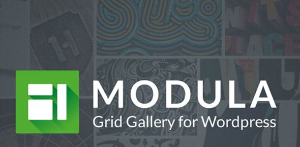 Modula Pro 最佳的 WordPress 图片流展示插件下载