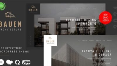 BAUEN主题下载