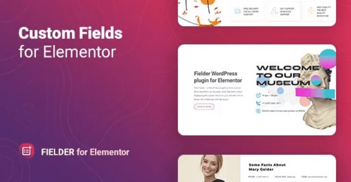 Fielder v1.1.1 WordPress Custom Fields for Elementor