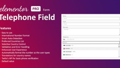 Telephone Field for Elementor form插件下载