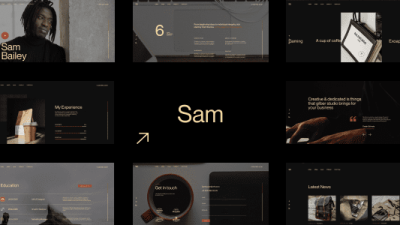 Sam Bailey (v1.1.0) Personal CV/Resume WordPress Theme