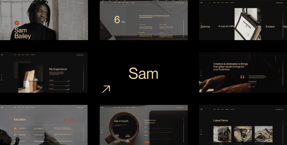 Sam Bailey (v1.1.0) Personal CV/Resume WordPress Theme