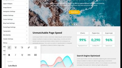 Superb Landingpage 主题下载