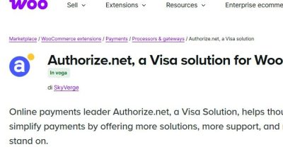 Authorize.net, a Visa solution for WooCommerce插件下载