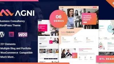 Agni (v1.1.8) Business Consulting WordPress Theme