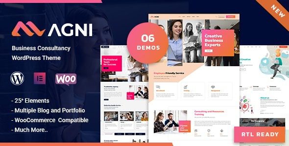 Agni (v1.1.8) Business Consulting WordPress Theme