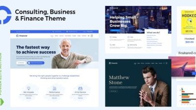 Advisero (v20.0) Consulting WordPress Theme (Activated)