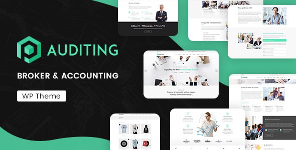 Auditing 主题下载