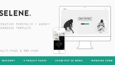 SELENE (v1.0) Creative Portfolio / Agency WP Theme