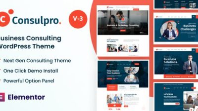 Consulpro 主题下载
