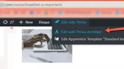 Thrive Visual Editor 插件下载