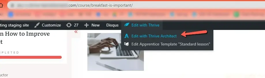 Thrive Visual Editor 插件下载