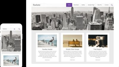 Radiate Pro v2.3.5 Favourite theme of Bloggers