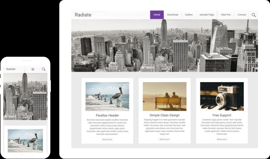 Radiate Pro v2.3.5 Favourite theme of Bloggers