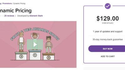 WooCommerce Dynamic Pricing v3.4.7 [Element Stark]