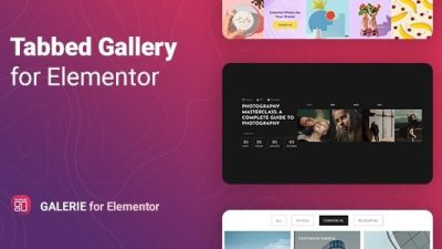 Tabbed Gallery for Elementor v1.0.7 Galerie
